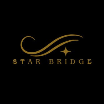Star Bridge Digital SARL logo